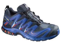 Кросовки SALOMON XA PRO 3D GTX BL/Blue Yonde/L