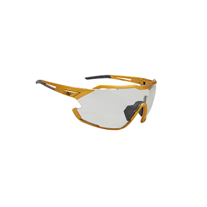 Очки Northug GOLD POLARIZED GOLD Narrow